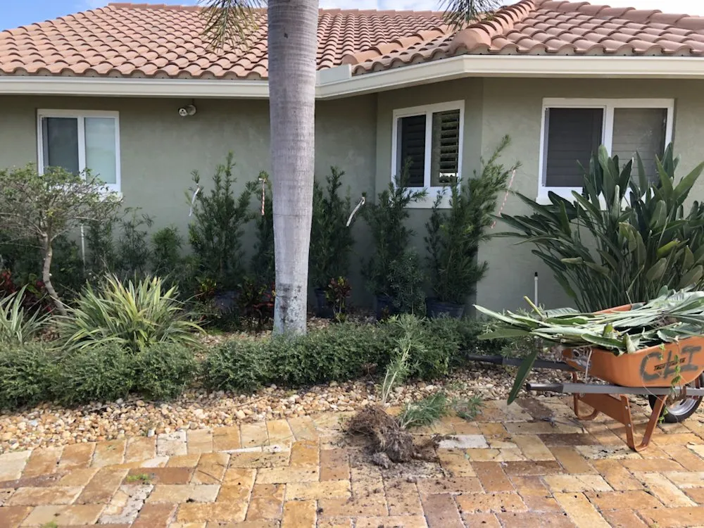 Expert landscaping services in Boca Raton, FL by Coastal Lawn