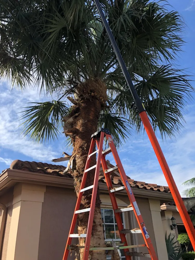 Expert landscape installation in Boca Raton, FL - Coastal Lawn