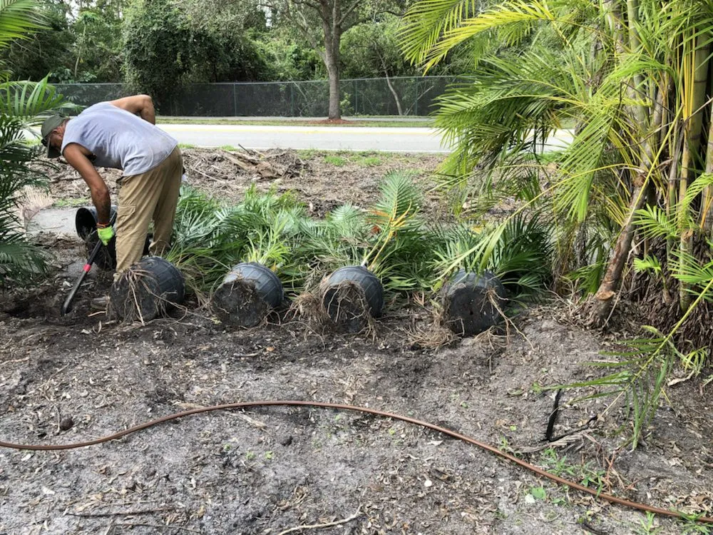Trusted landscape installation in Boca Raton, FL by Coastal Lawn