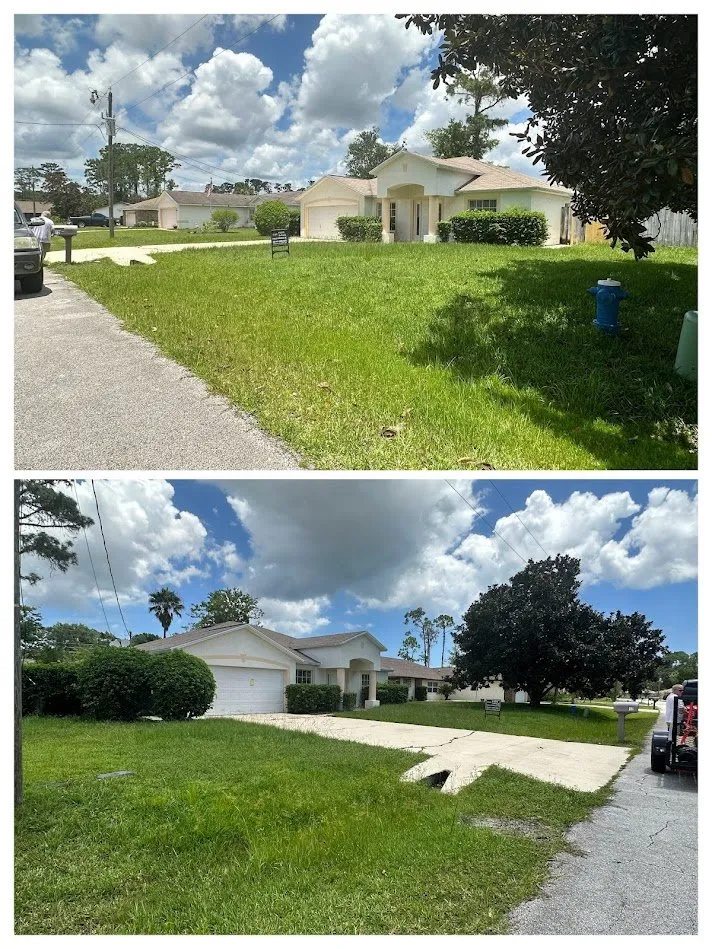 Trusted landscape design for year-round maintenance in Palm Coast, FL by Coastal Lawn Care & Property Maintenance