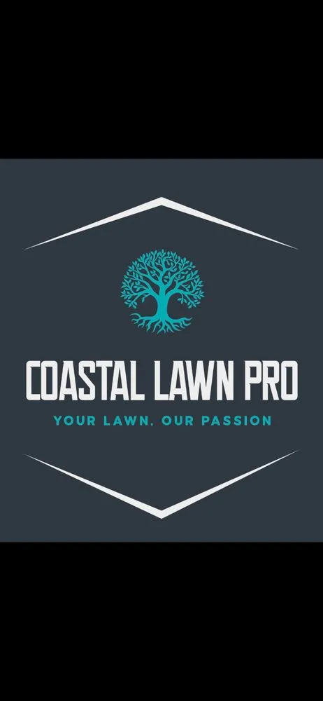 Top-rated yard cleanup service for outdoor upgrades across Ocean Springs, MS - Coastal Lawn