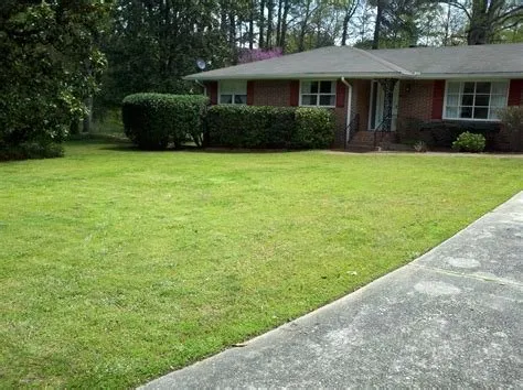 Professional outdoor landscaping in Jamesville, VA - Coastal Lawn Services & Home Maintenance
