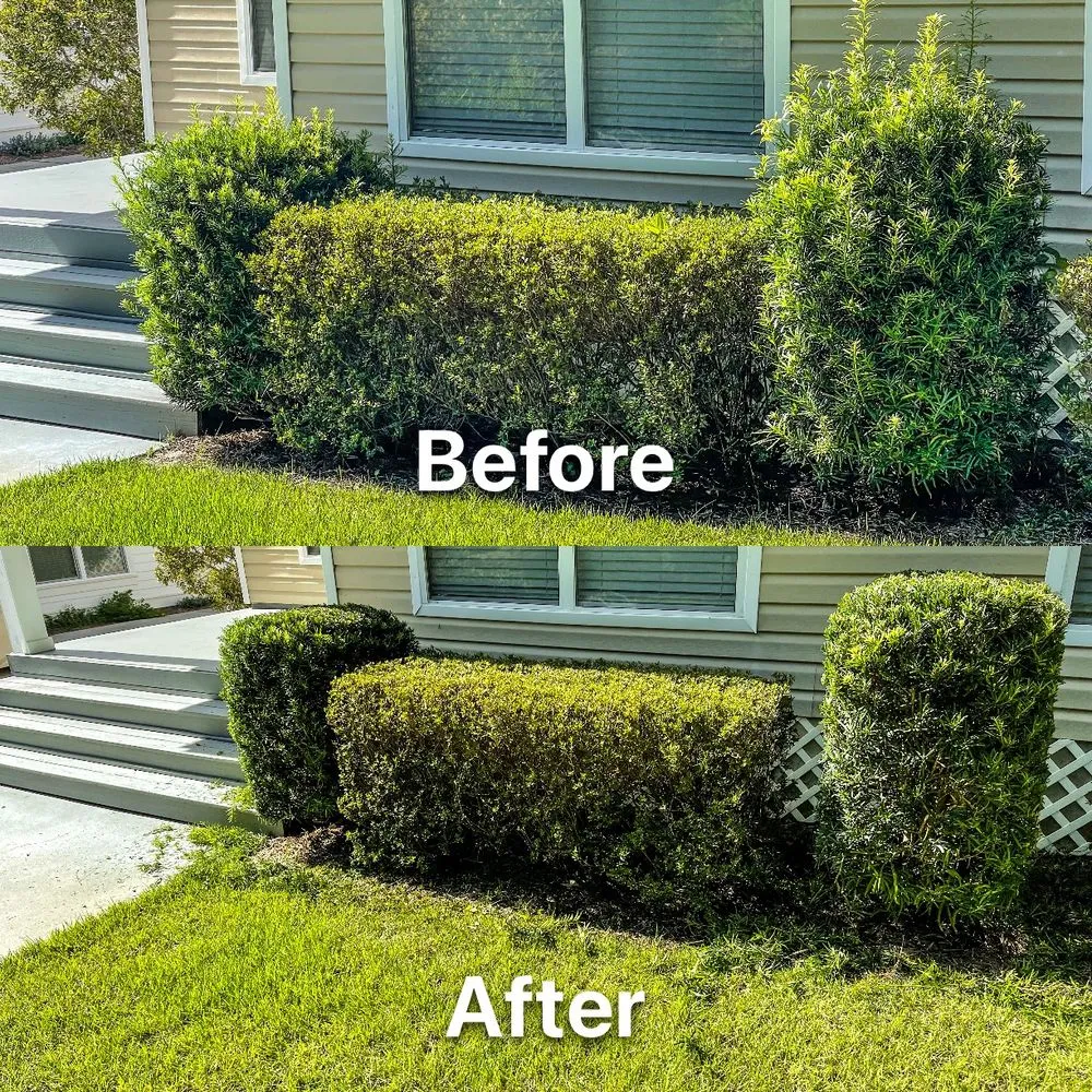 Expert yard maintenance in Freeport, FL - Coastal Lawn Services