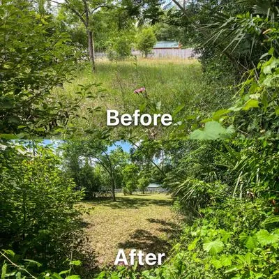 Coastal Lawn Services Logo