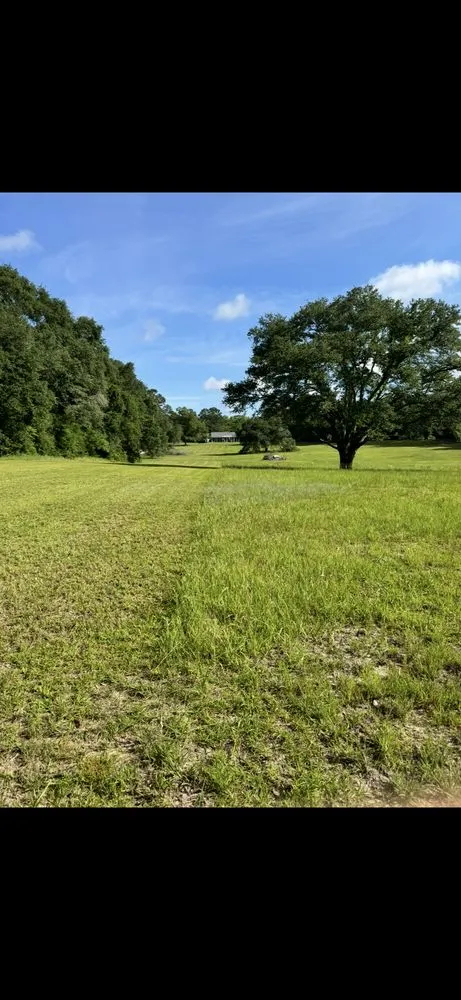 Affordable outdoor landscaping in Moss Point, MS by Coastal Lawn Services