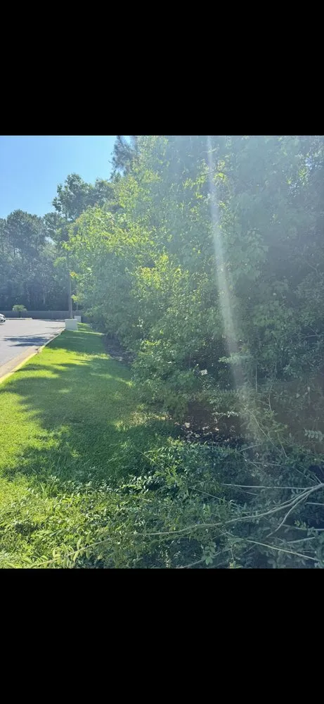 Local outdoor landscaping experts serving Moss Point, MS - Coastal Lawn Services