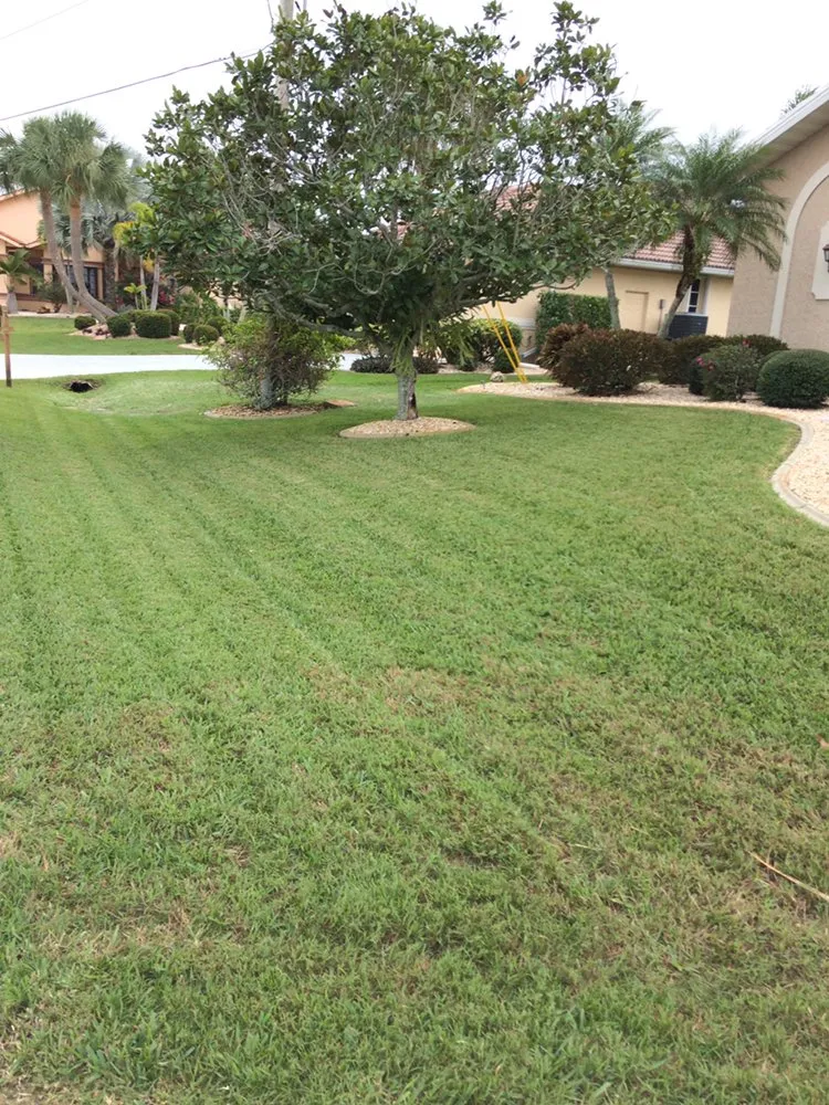 Local outdoor landscaping in Punta Gorda, FL by Coastal Lawn Services