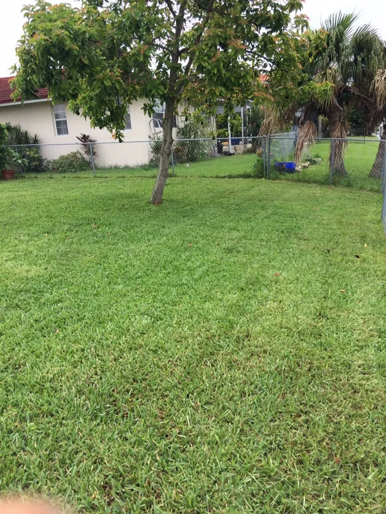 Professional outdoor landscaping for year-round maintenance in Punta Gorda, FL by Coastal Lawn Services