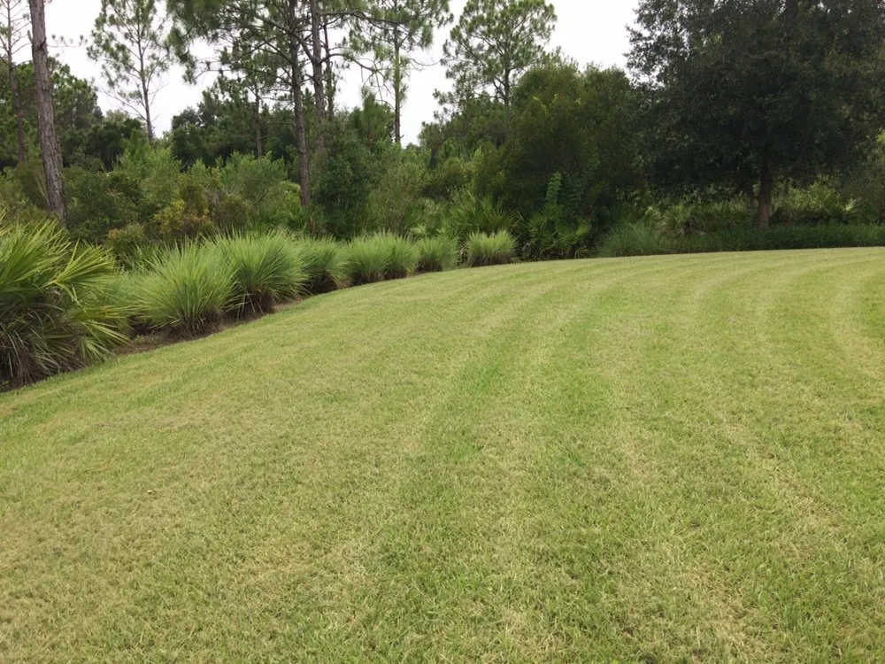 Local landscaping services in Punta Gorda, FL - Coastal Lawn Services