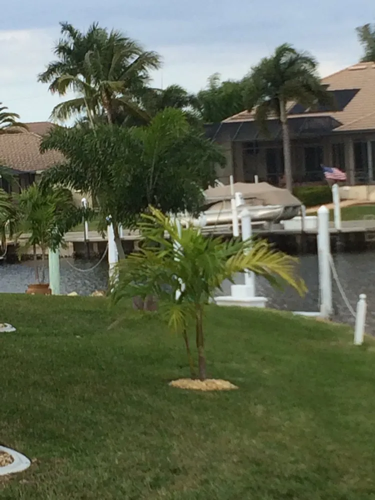 Custom lawn care service experts serving Punta Gorda, FL - Coastal Lawn Services