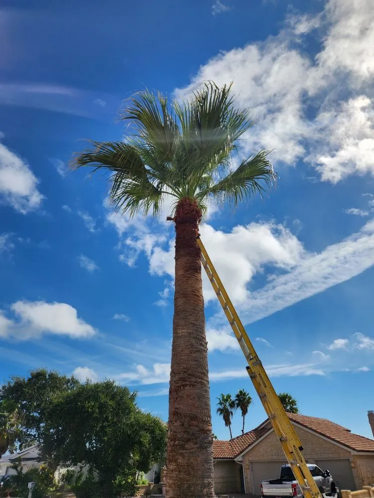 Custom residential landscaping for residential properties across Portland, TX - Coastal Lawncare