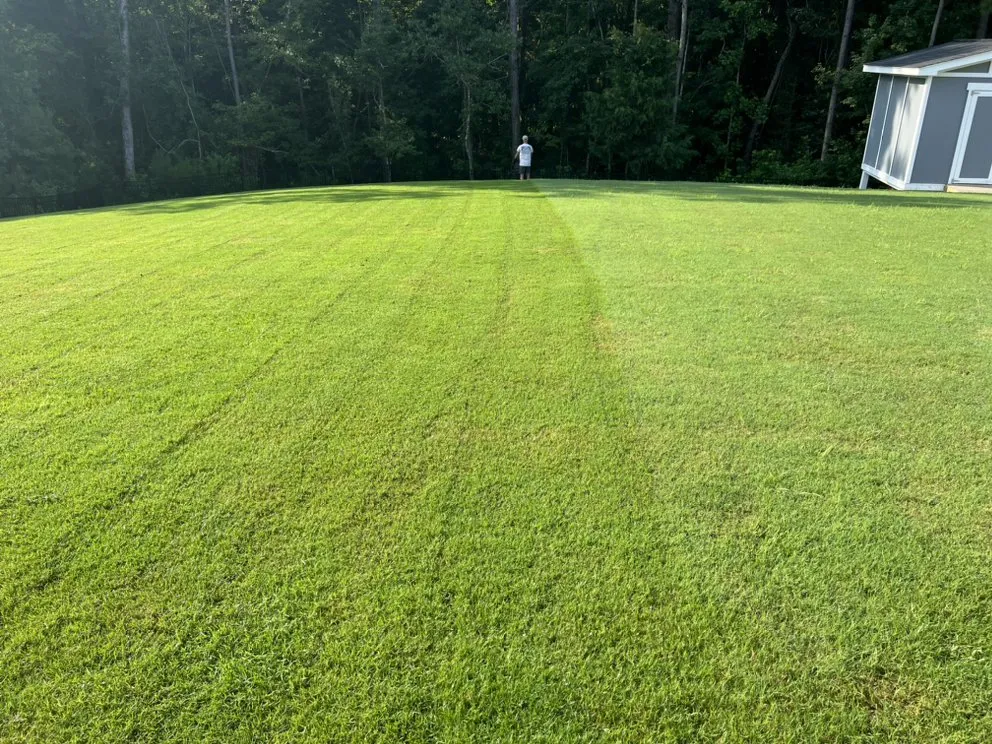 Local yard maintenance near you in Wilmington, NC by Coastal Lawncare