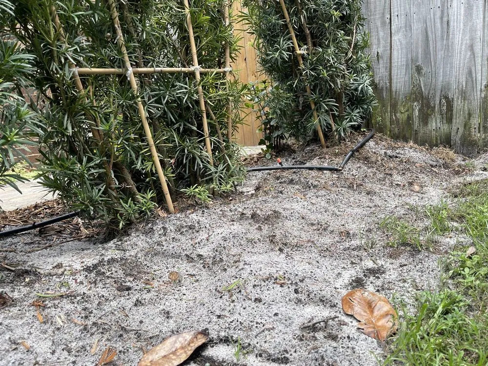 Professional yard maintenance in Saint Johns, FL by Coastal Oak Landscape