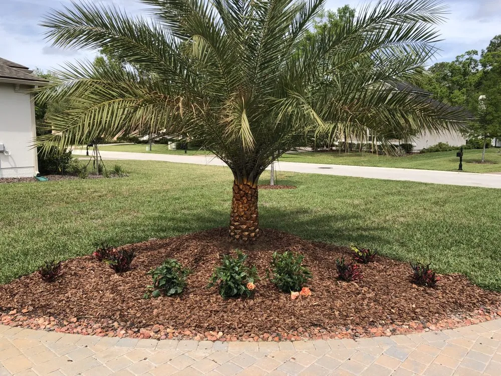 Top-rated residential landscaping for beautiful yards in Saint Johns, FL by Coastal Oak Landscape