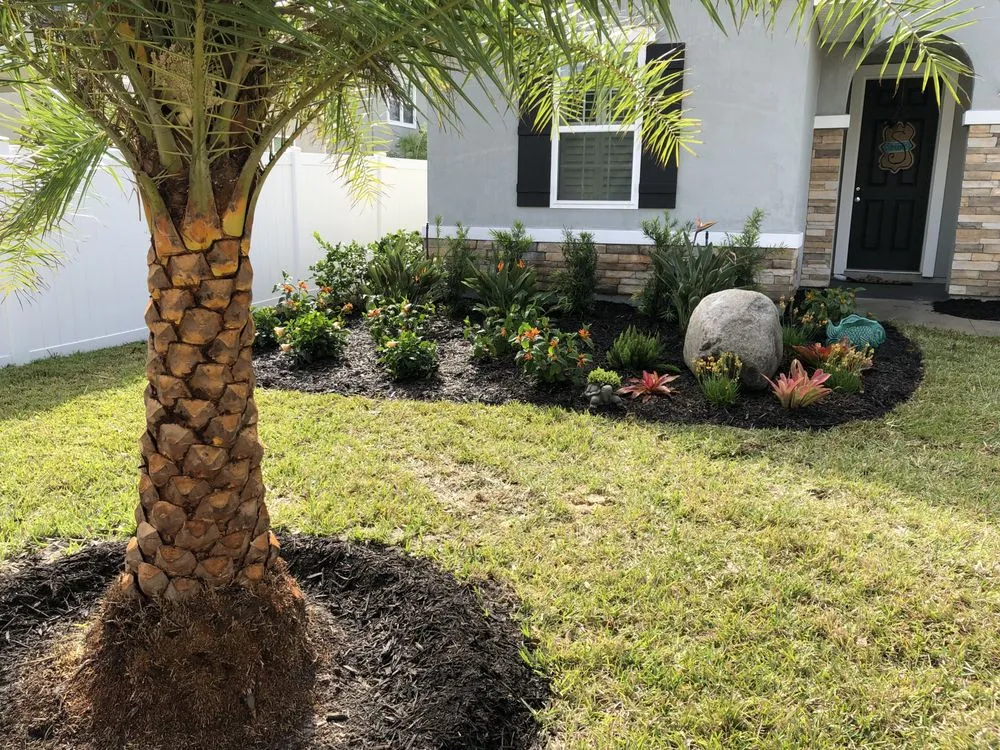 Expert landscaping services for beautiful yards across Saint Johns, FL - Coastal Oak Landscape