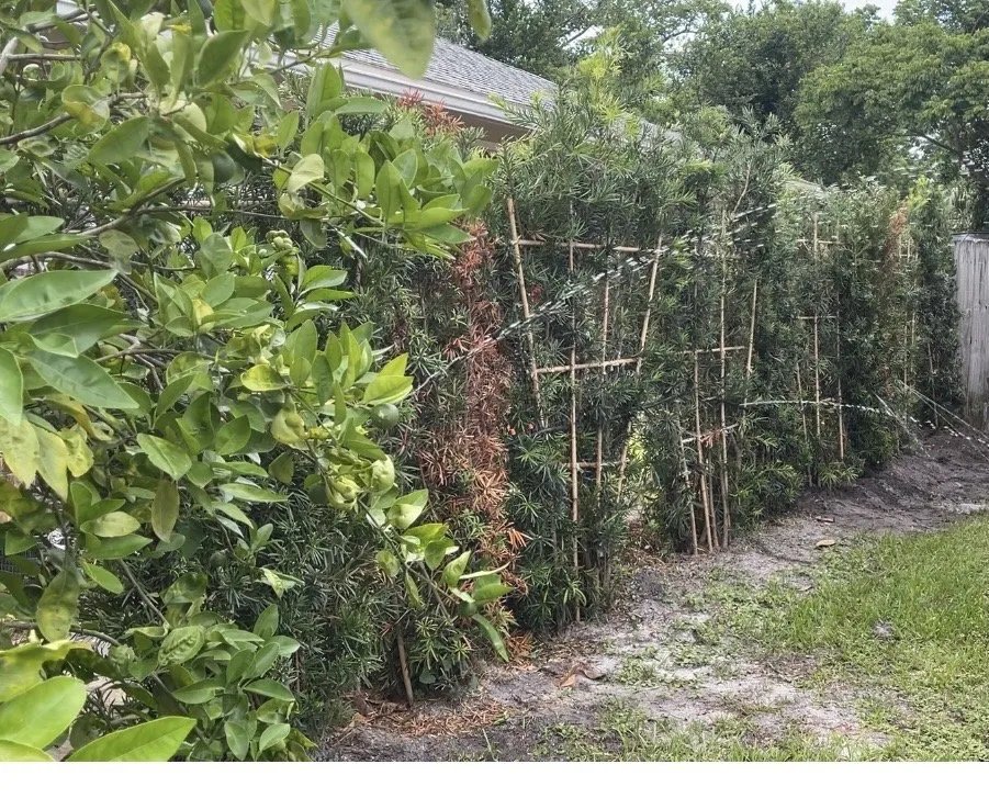 Expert lawn mowing service in Saint Johns, FL by Coastal Oak Landscape