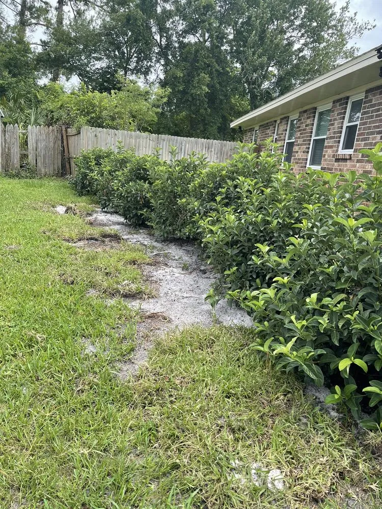 Custom lawn care service in Saint Johns, FL - Coastal Oak Landscape