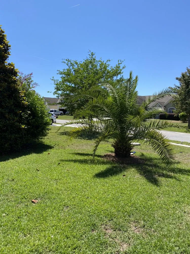 Trusted lawn care service for year-round maintenance across Saint Helena Island, SC - Coastal Organic Lawn Service