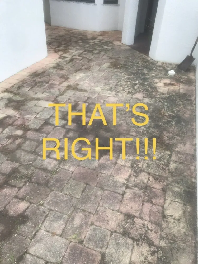 Professional landscape installation near you in Cocoa, FL by Coastal Outdoor Concepts