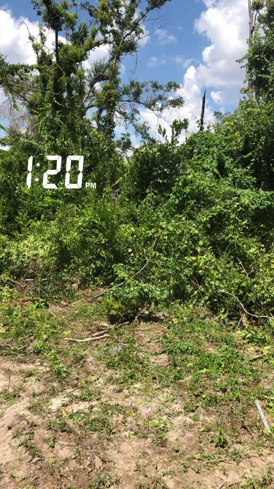 Expert landscaping services in Panama City, FL - Coastal Outdoor Solutions