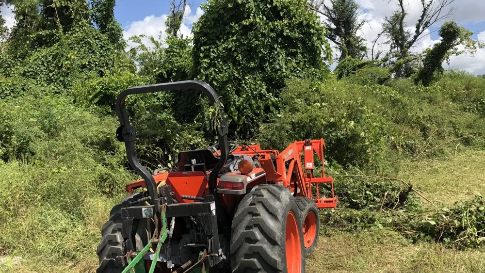 Trusted residential landscaping in Panama City, FL by Coastal Outdoor Solutions