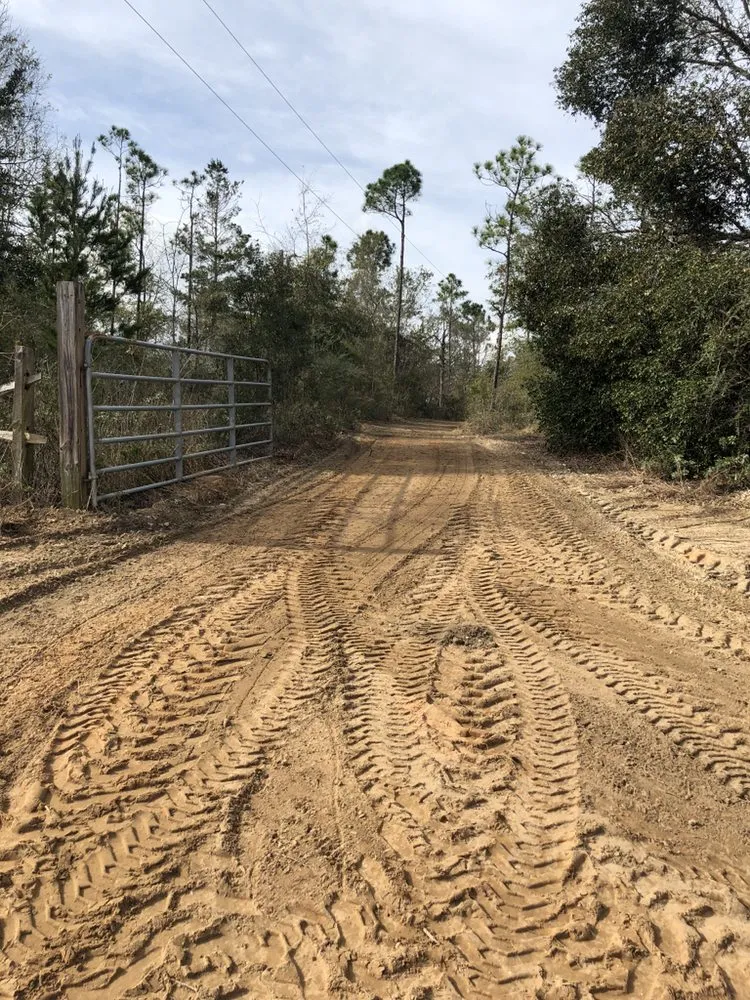 Top-rated yard cleanup service in Panama City, FL by Coastal Outdoor Solutions