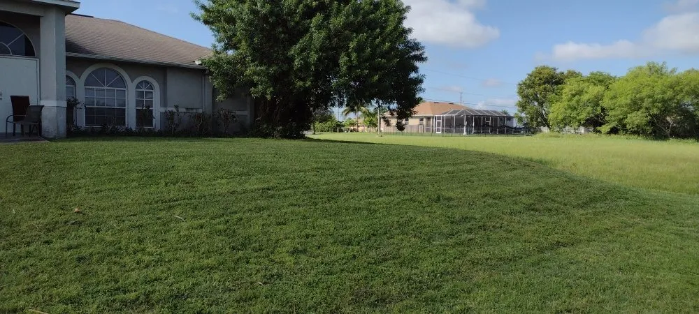 Trusted lawn care service in Cape Coral, FL by Coastal Outdoors