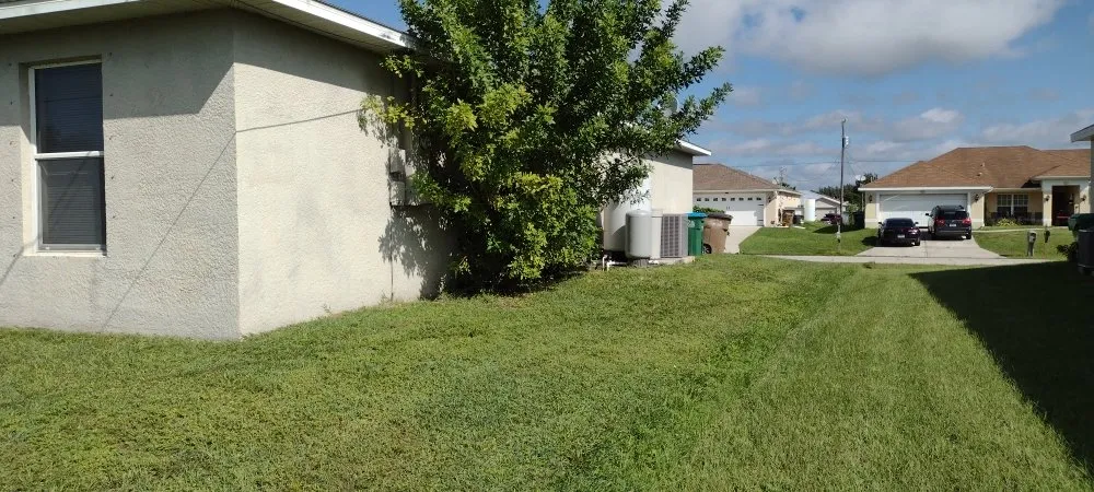 Top-rated landscaping services experts serving Cape Coral, FL - Coastal Outdoors