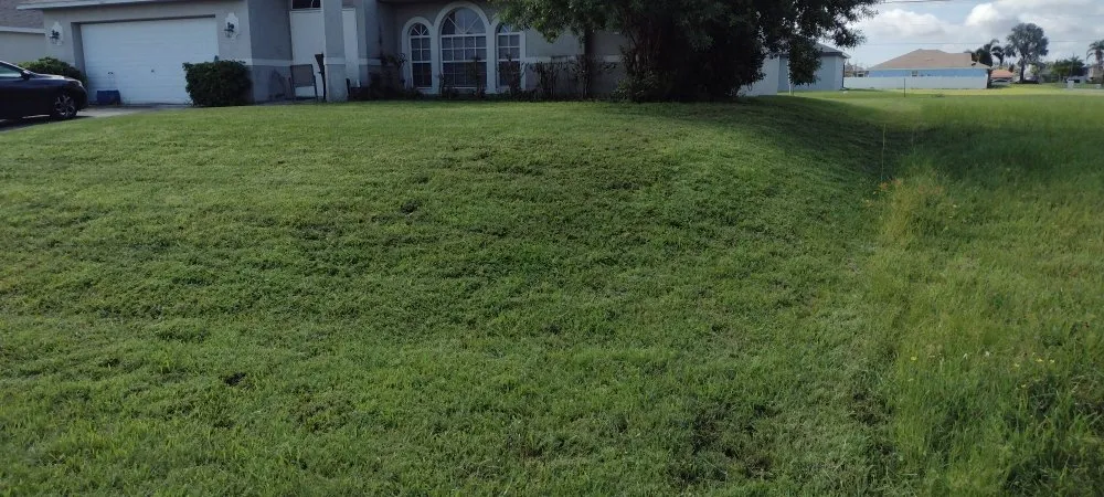 Custom residential landscaping in Cape Coral, FL by Coastal Outdoors