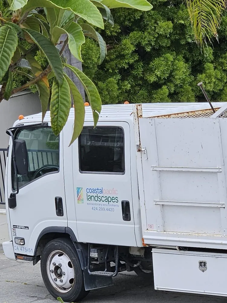 Custom lawn care service in Manhattan Beach, CA - Coastal Pacific Landscapes Services Inc.