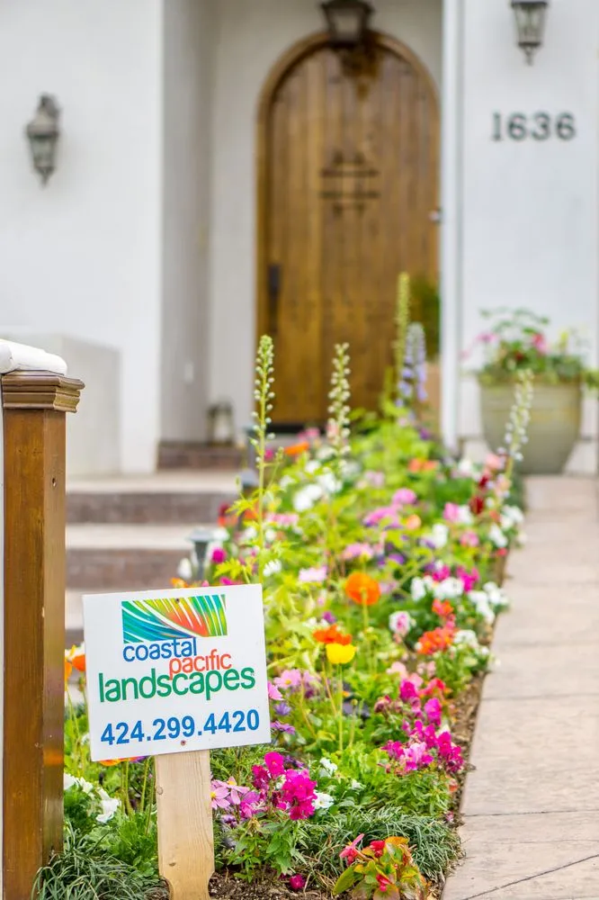 Local lawn care service in Manhattan Beach, CA - Coastal Pacific Landscapes Services Inc.