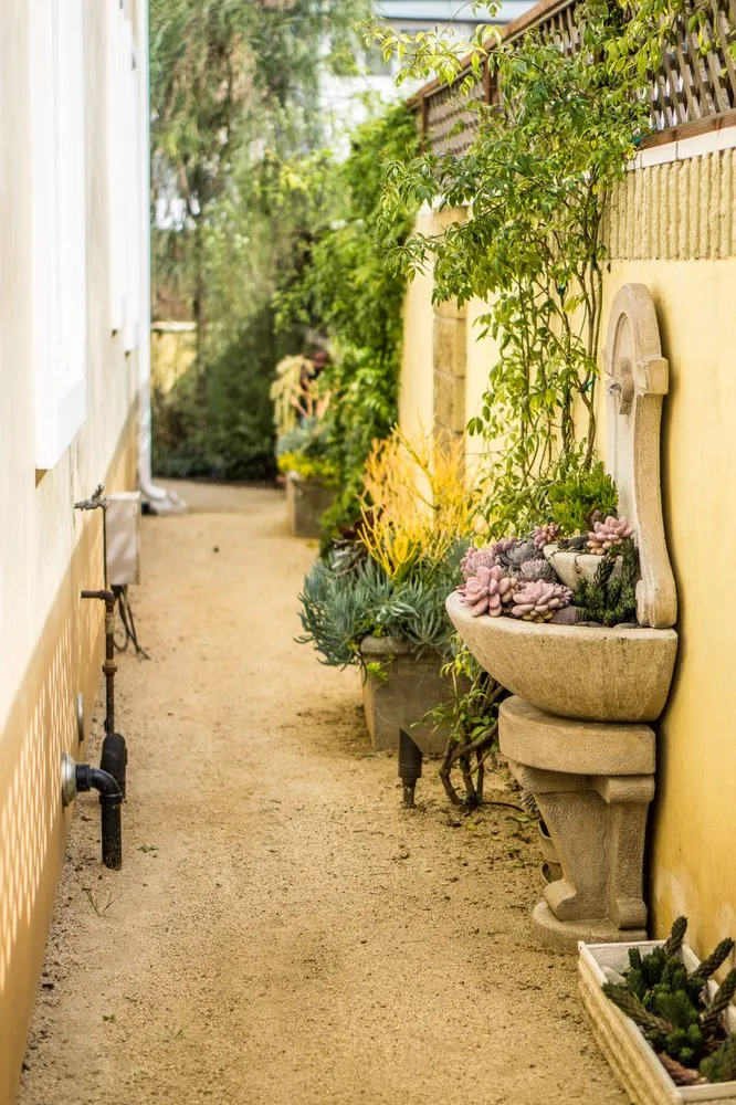 Local yard maintenance near you in Manhattan Beach, CA by Coastal Pacific Landscapes Services Inc.