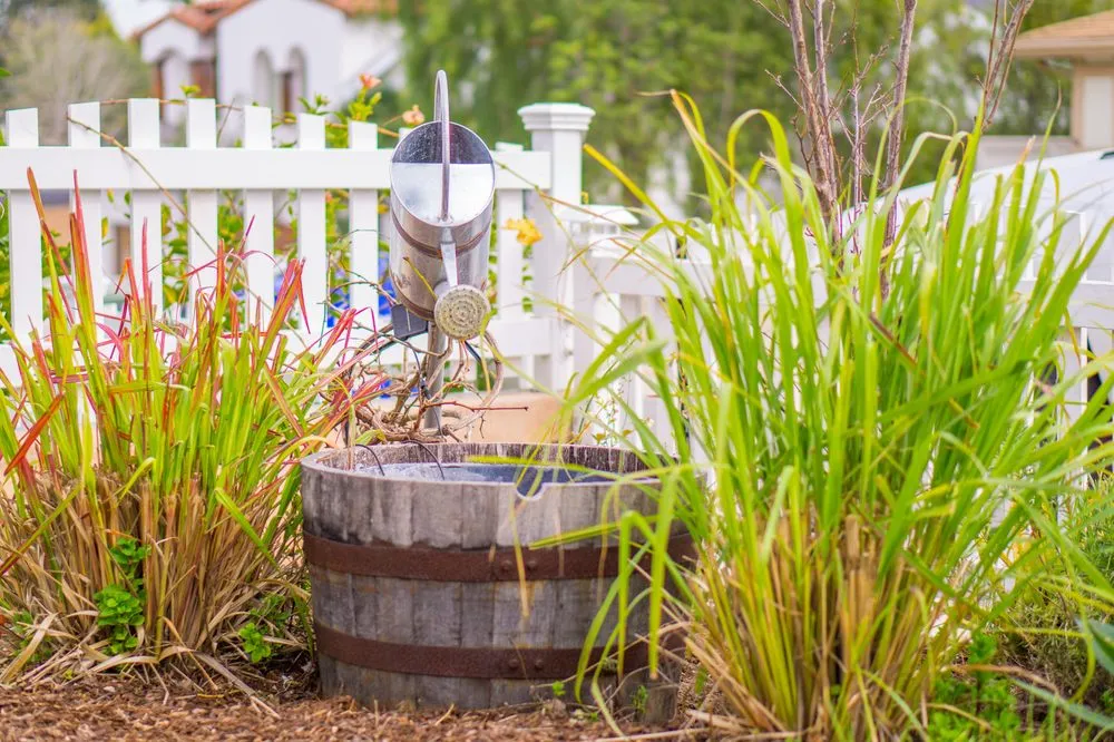 Affordable outdoor landscaping in Manhattan Beach, CA by Coastal Pacific Landscapes Services Inc.