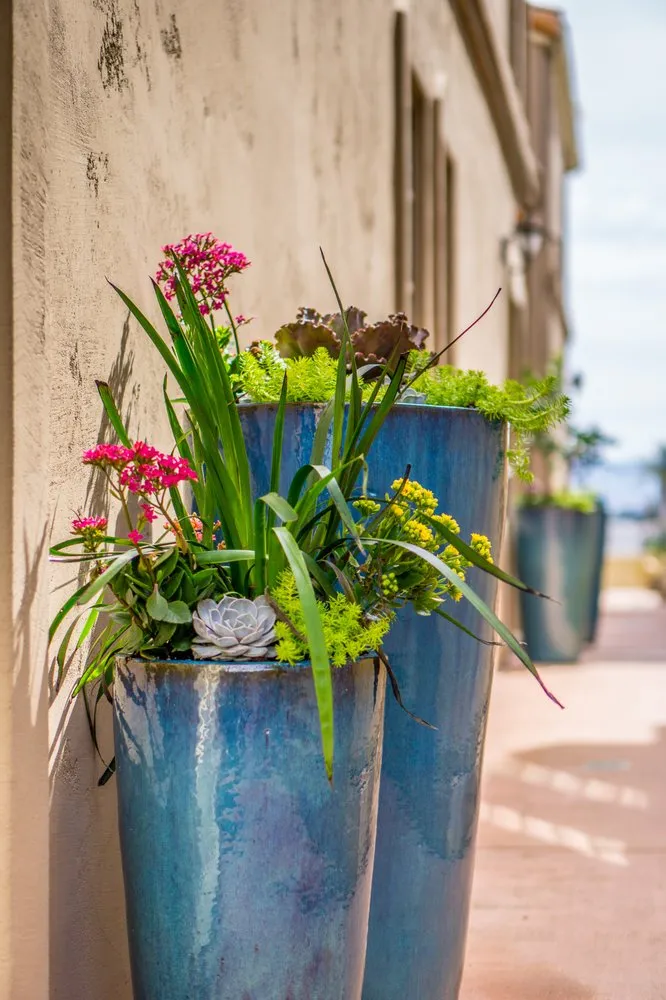 Local outdoor landscaping experts serving Manhattan Beach, CA - Coastal Pacific Landscapes Services Inc.