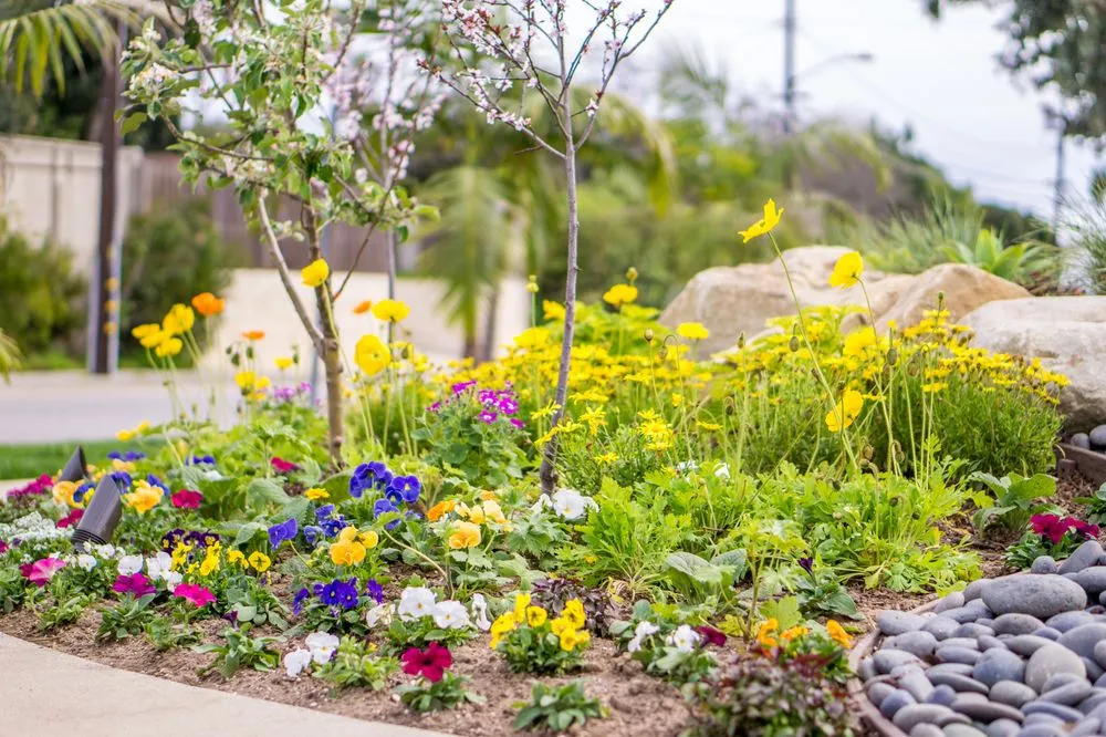 Trusted landscape design in Manhattan Beach, CA by Coastal Pacific Landscapes Services Inc.