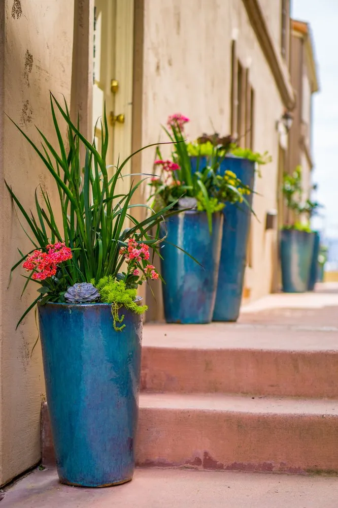Trusted yard cleanup service in Manhattan Beach, CA by Coastal Pacific Landscapes Services Inc.