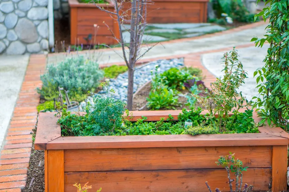 Local yard cleanup service for residential properties in Manhattan Beach, CA by Coastal Pacific Landscapes Services Inc.