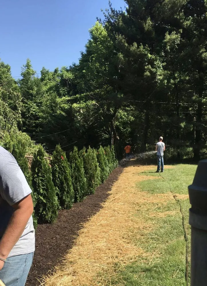 Custom yard cleanup service for residential properties across Port St. Lucie, FL - Coastal Palm Landscaping