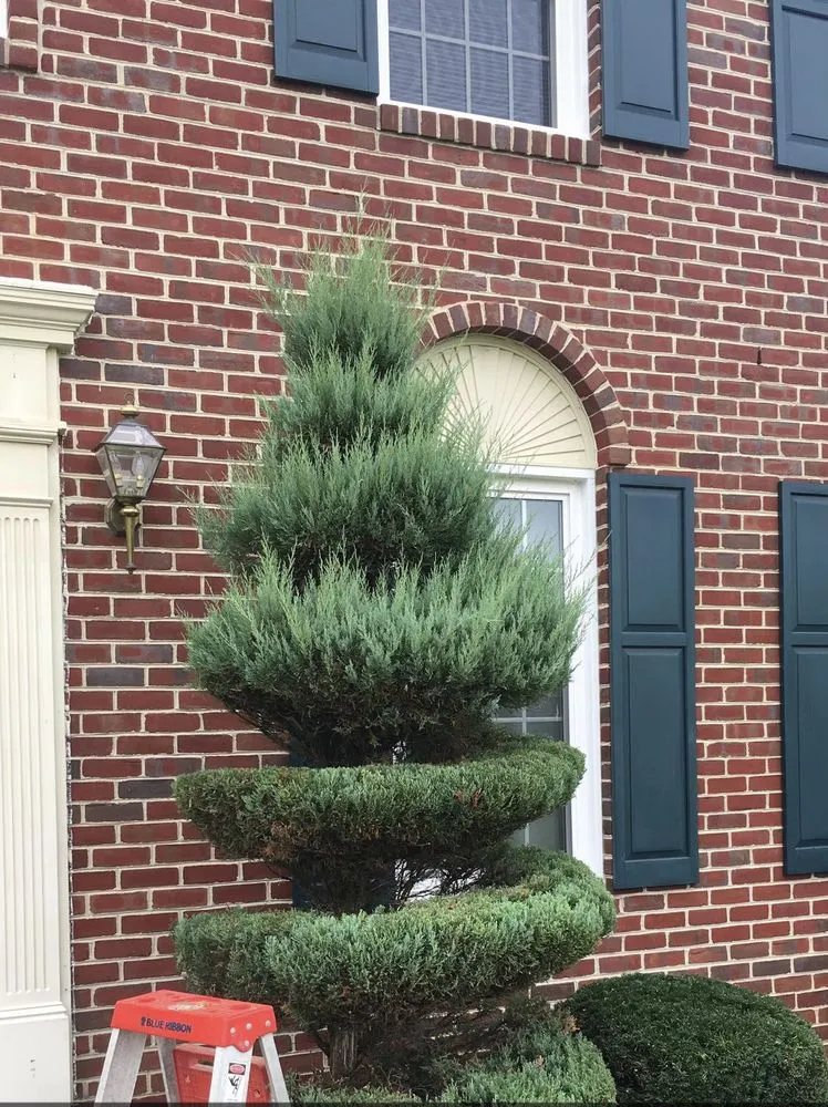 Professional landscape design for homes in Port St. Lucie, FL by Coastal Palm Landscaping