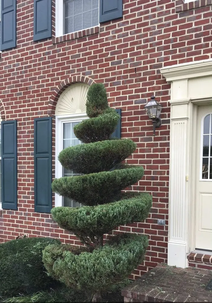 Top-rated lawn care service for residential properties in Port St. Lucie, FL by Coastal Palm Landscaping