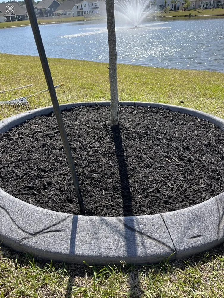 Trusted lawn mowing service in Myrtle Beach, SC by Coastal Palm Lawn Care