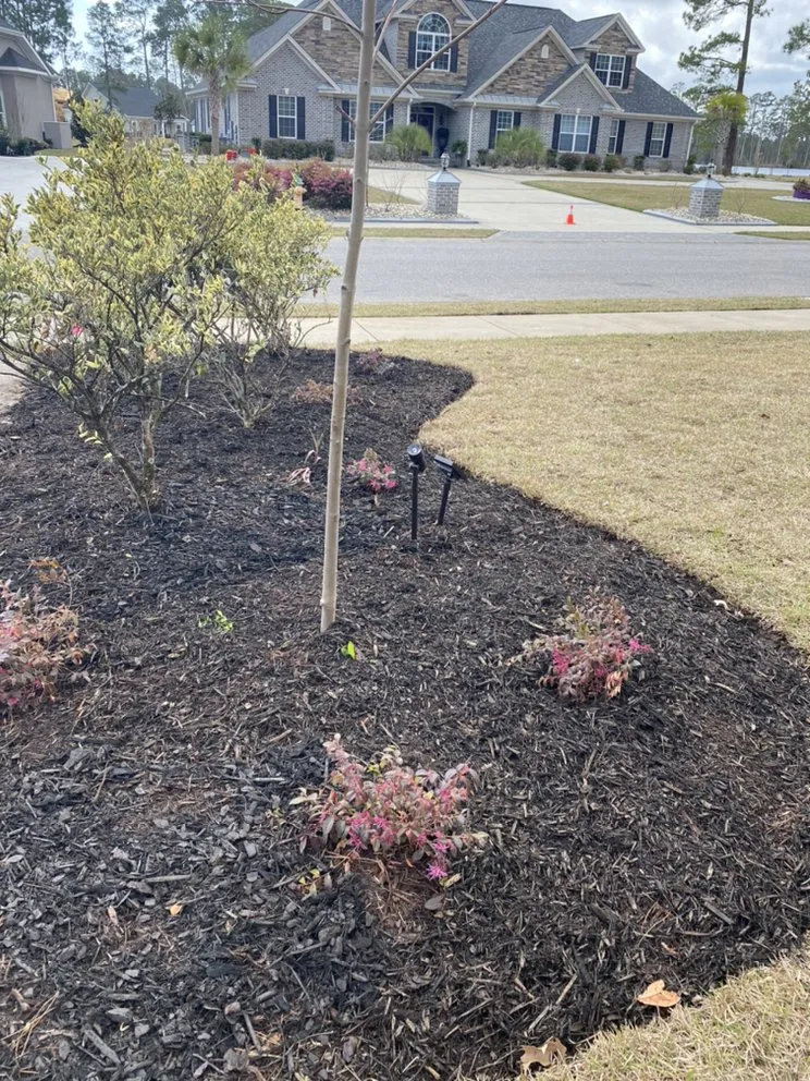 Reliable landscape design near you in Myrtle Beach, SC by Coastal Palm Lawn Care