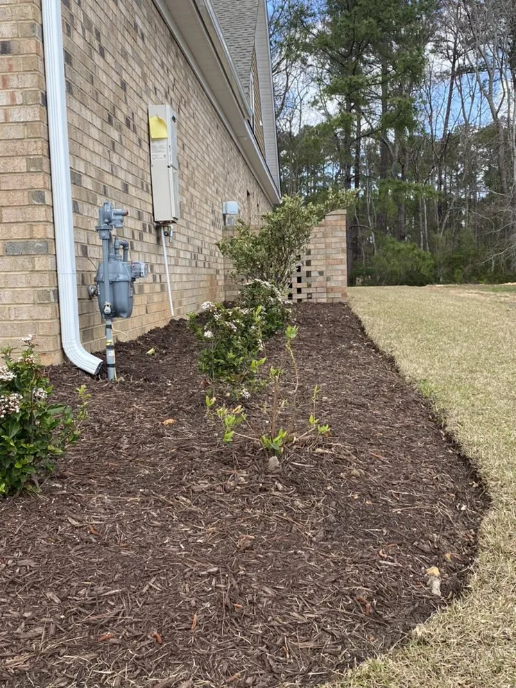 Reliable lawn mowing service in Myrtle Beach, SC - Coastal Palm Lawn Care