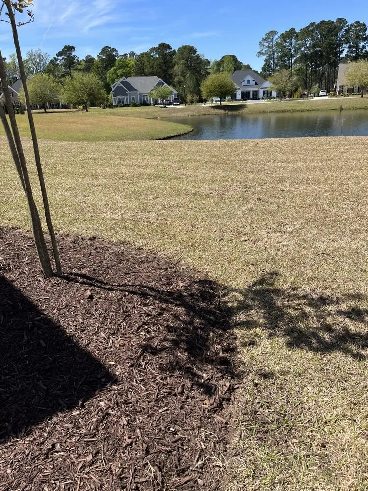 Custom yard cleanup service in Myrtle Beach, SC - Coastal Palm Lawn Care