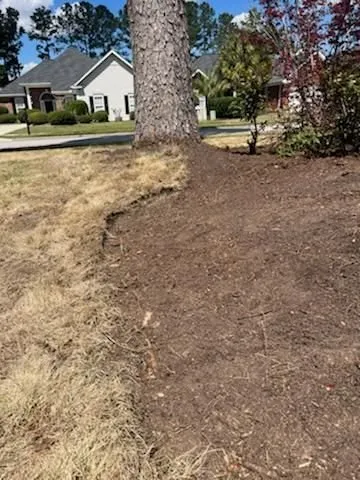 Affordable lawn care service in Myrtle Beach, SC - Coastal Palm Lawn Care