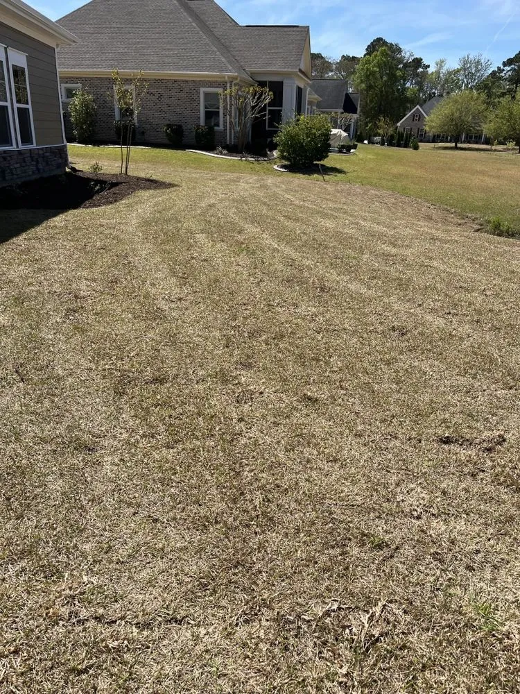 Local yard cleanup service for beautiful yards in Myrtle Beach, SC by Coastal Palm Lawn Care