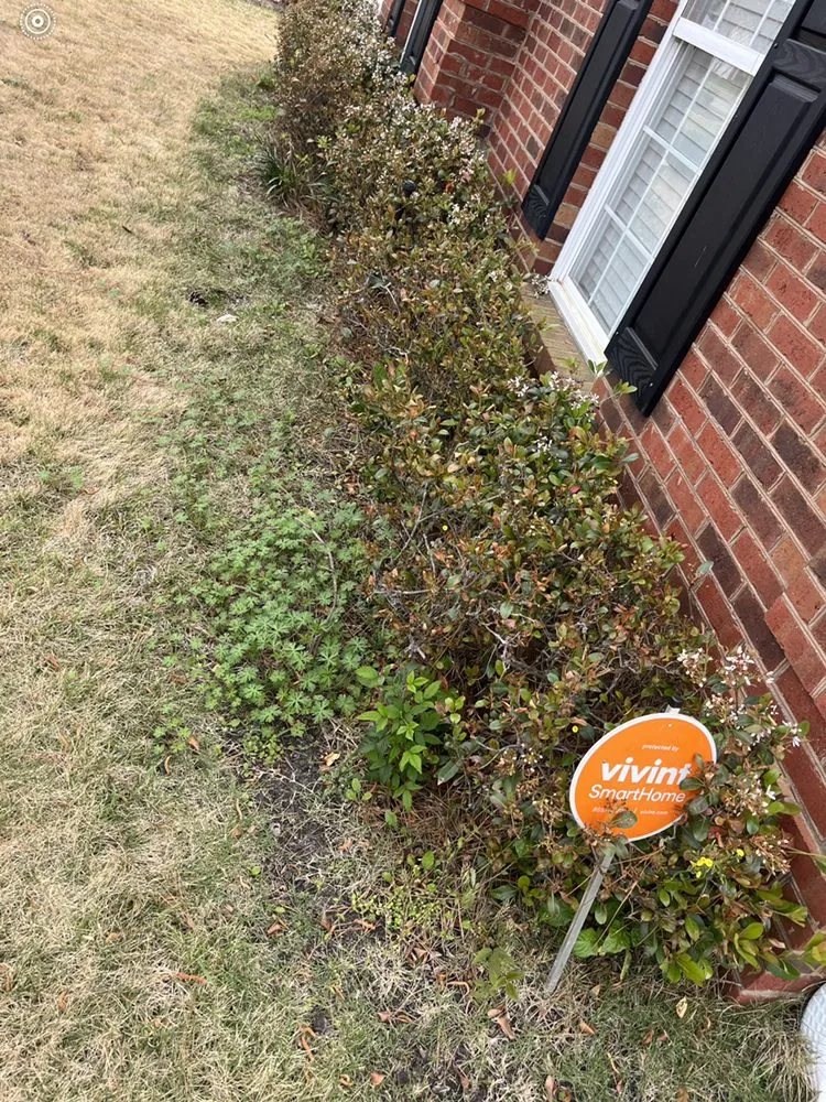 Affordable yard maintenance for residential properties in Myrtle Beach, SC by Coastal Palm Lawn Care