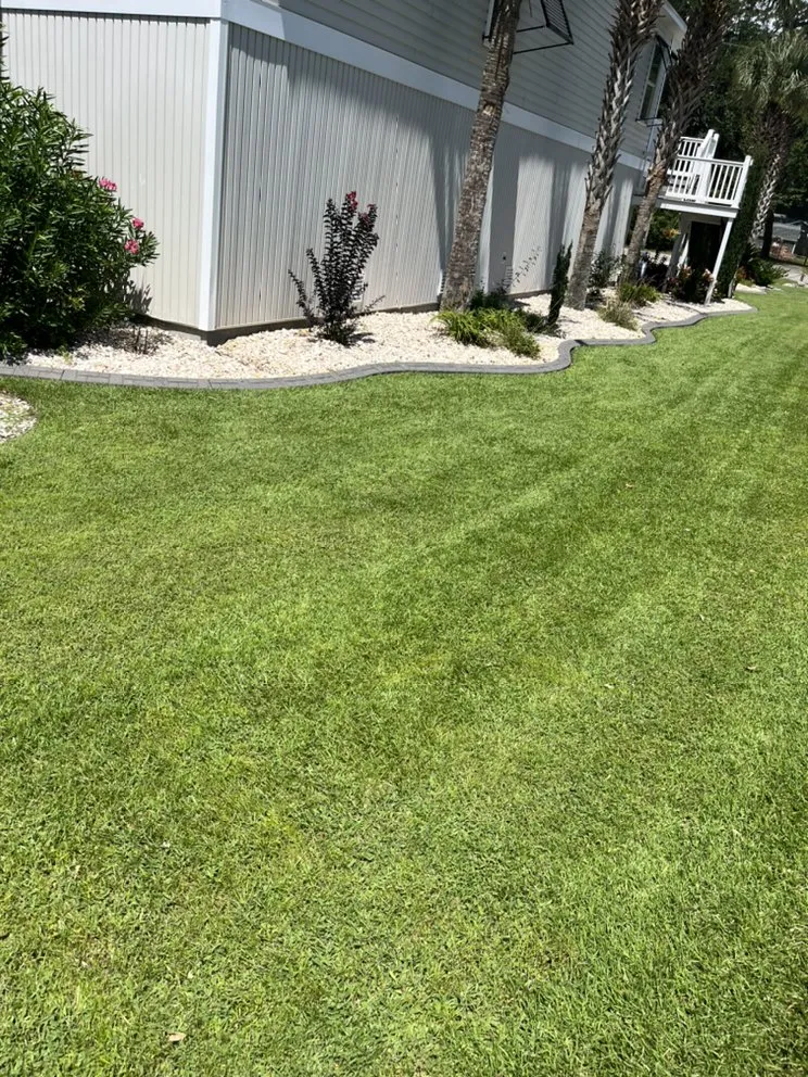 Expert yard cleanup service for residential properties in Myrtle Beach, SC by Coastal Palm Lawn Care
