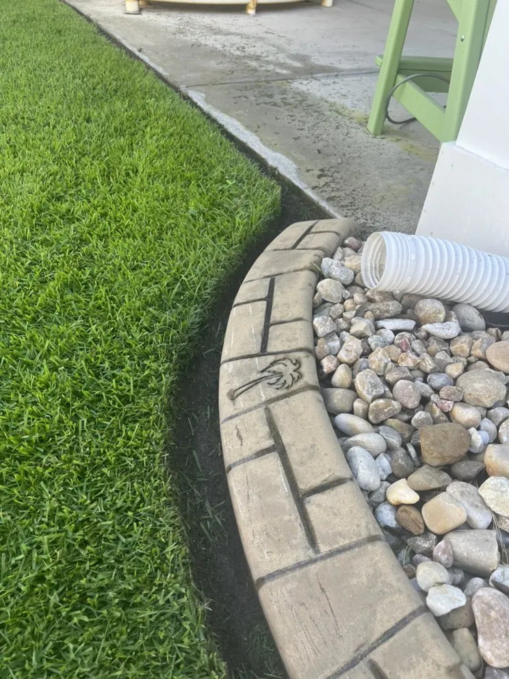 Top-rated lawn care service for year-round maintenance across Myrtle Beach, SC - Coastal Palm Lawn Care