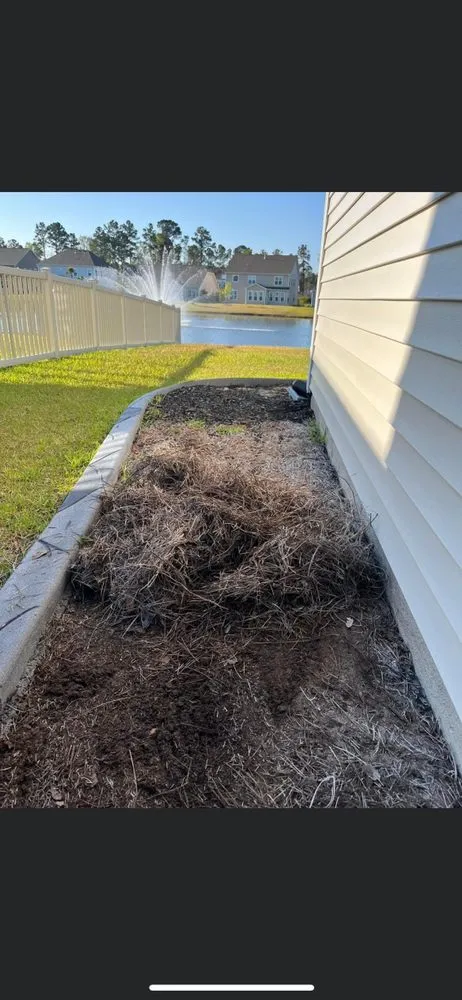 Affordable yard cleanup service in Myrtle Beach, SC - Coastal Palm Lawn Care